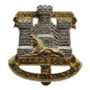 Devonshire & Dorset Regiment Anodised (Staybrite) Cap Badge