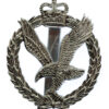 Army Air Corps Anodised (Staybrite) Cap Badge