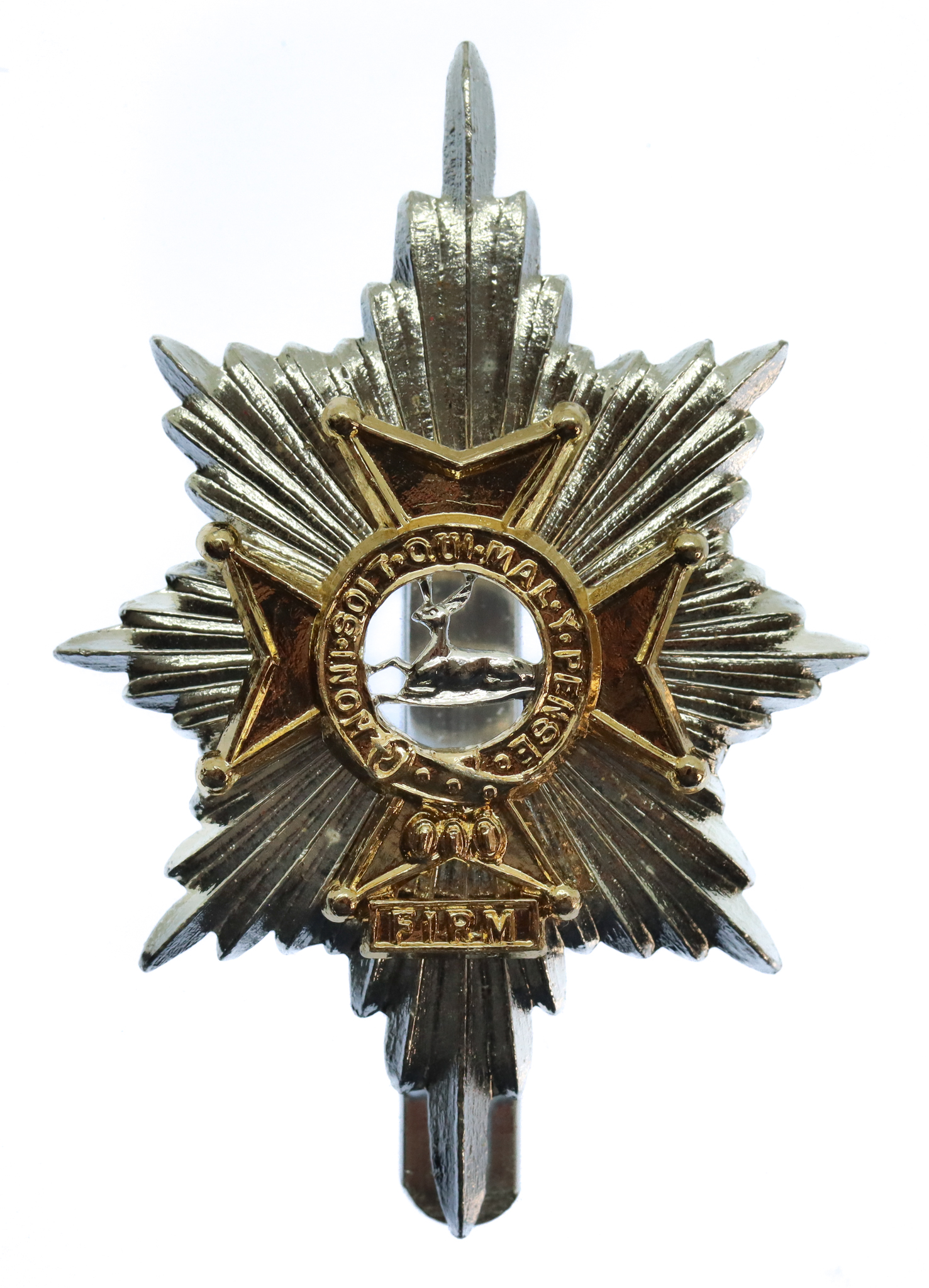Worcestershire & Sherwood Foresters Anodised (Staybrite) Cap Badge