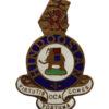 Duke of Wellington's (West Riding) Regiment Old Comrades Association Enamelled Lapel Badge 
