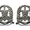 Pair of Hampshire Constabulary Collar Badges