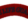 Life Guards (THE LIFE GUARDS) Cloth Shoulder Title
