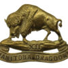 Canadian 12th Manitoba Dragoons Cap Badge