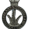 Westmoreland & Cumberland Yeomanry Anodised (Staybrite) Cap Badge