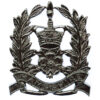 Hampshire Constabulary Constables Cap Badge - Queen's Crown