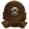 South African Bophuthatswana National School Cadet Cap Badge