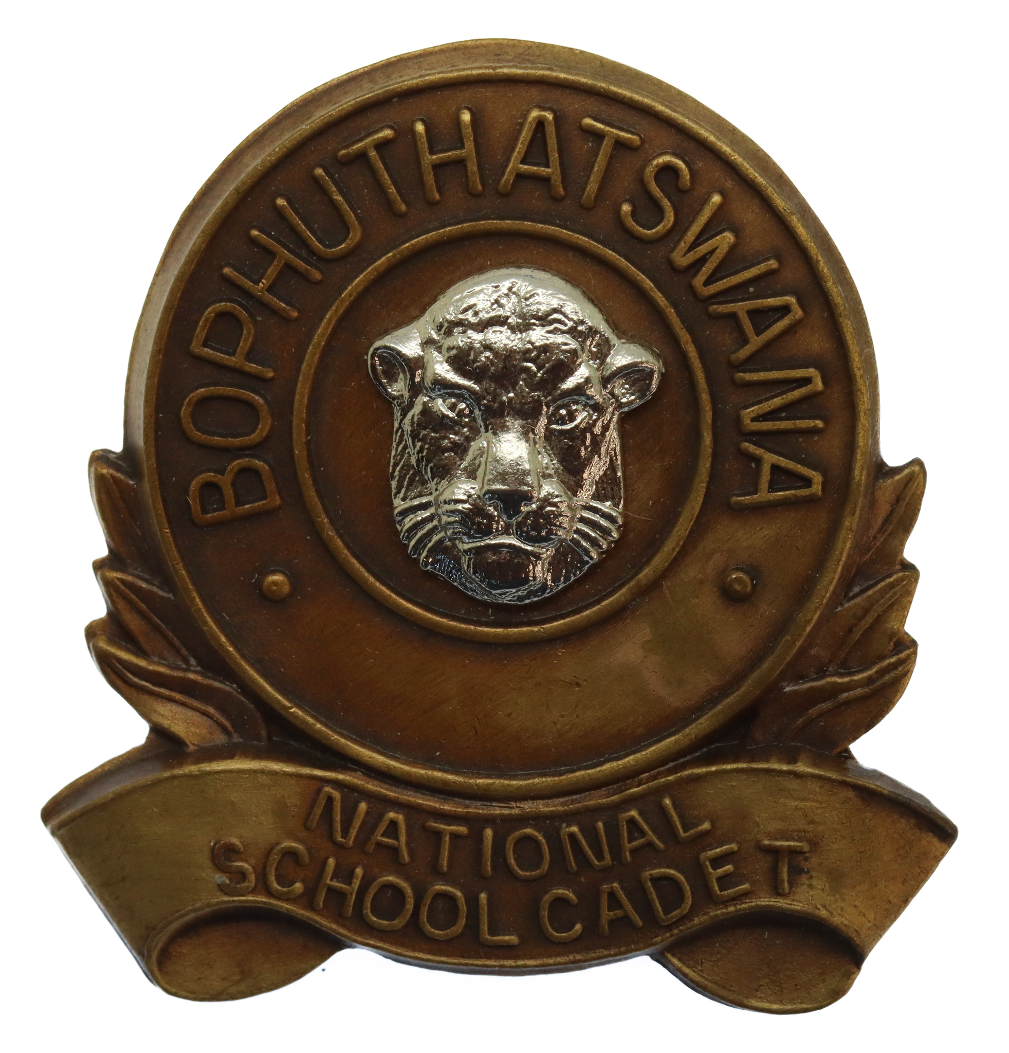 South African Bophuthatswana National School Cadet Cap Badge