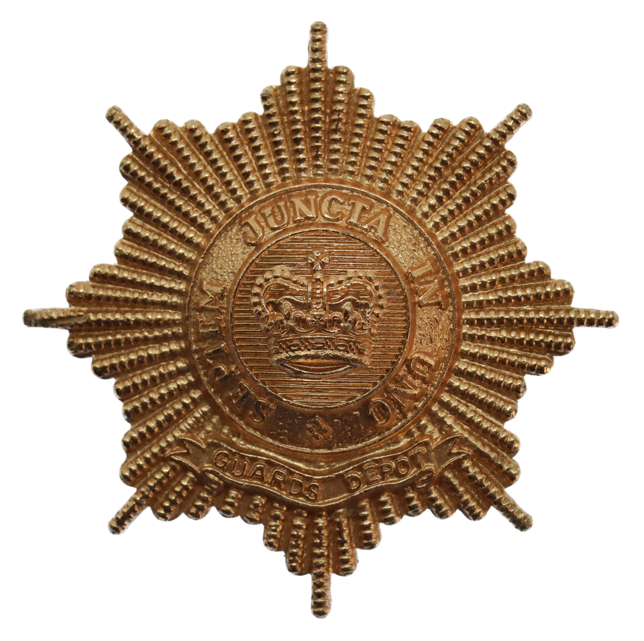 Guards Depot W.R.A.C. Anodised (Staybrite) Cap Badge