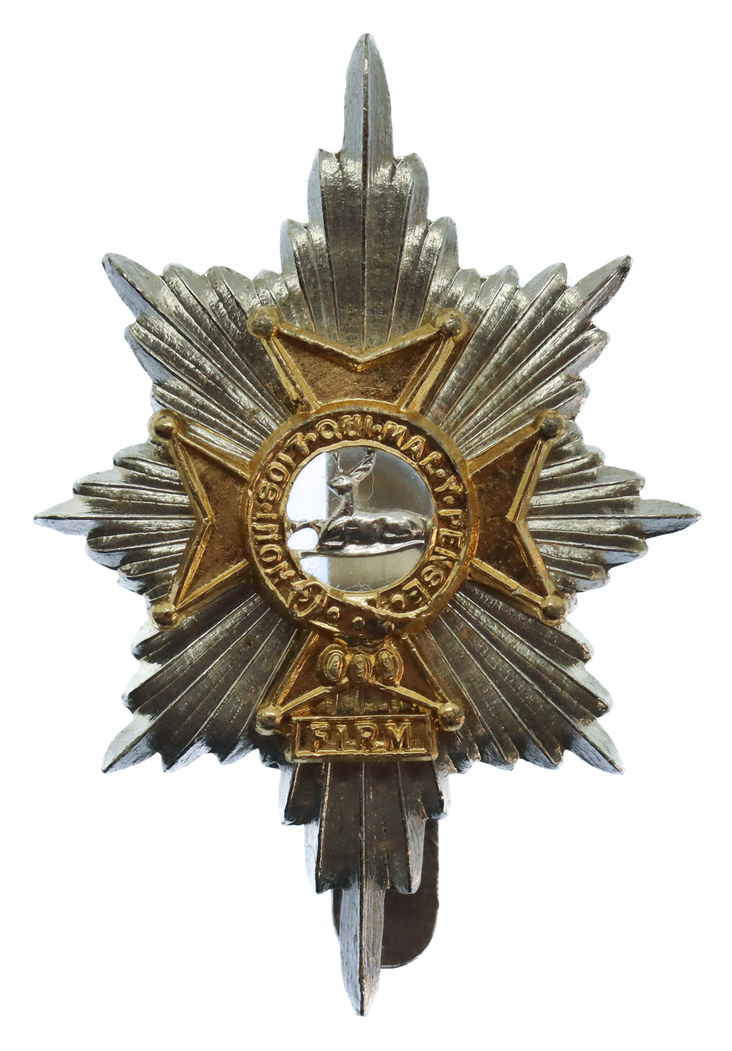 Worcestershire & Sherwood Foresters Anodised (Staybrite) Cap Badge