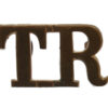 Training Reserve (T.R.) Shoulder Title