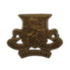 Royal Irish Regiment Collar Badge