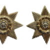 Pair of East Yorkshire Regiment Anodised (Staybrite) Collar Badges (1st Pattern)