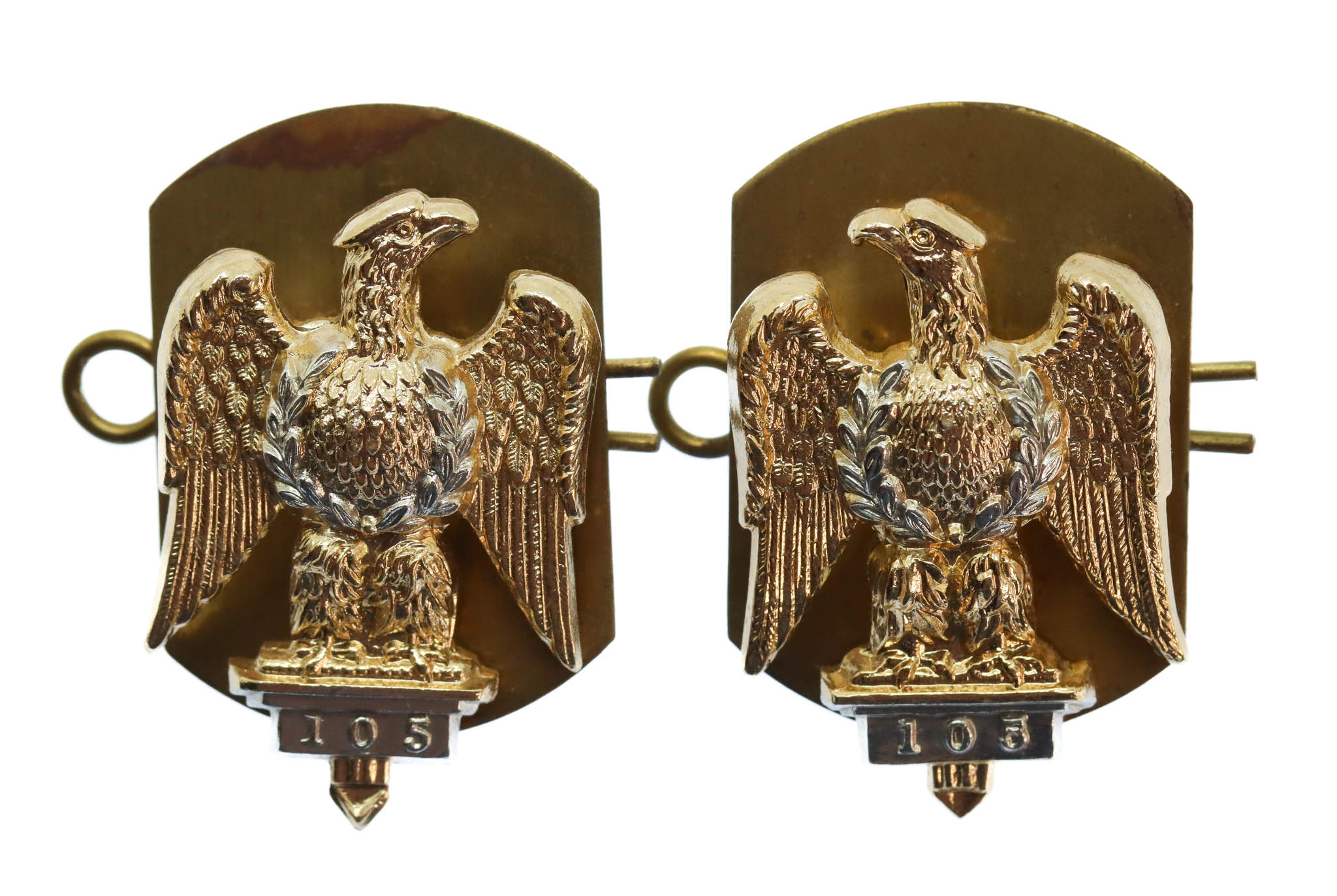 Pair of 1st Royal Dragoons Anodised (Staybrite) Collar Badges