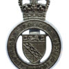 Norfolk Police Community Support Officer PCSO Cap Badge - Queen's Crown