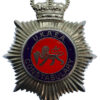 United Kingdom Atomic Energy Authority (U.K.A.E.A.) Constabulary Enamelled Helmet Plate - Queen's Crown
