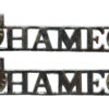 Pair of Thames River Police (THAMES) Collar Badges