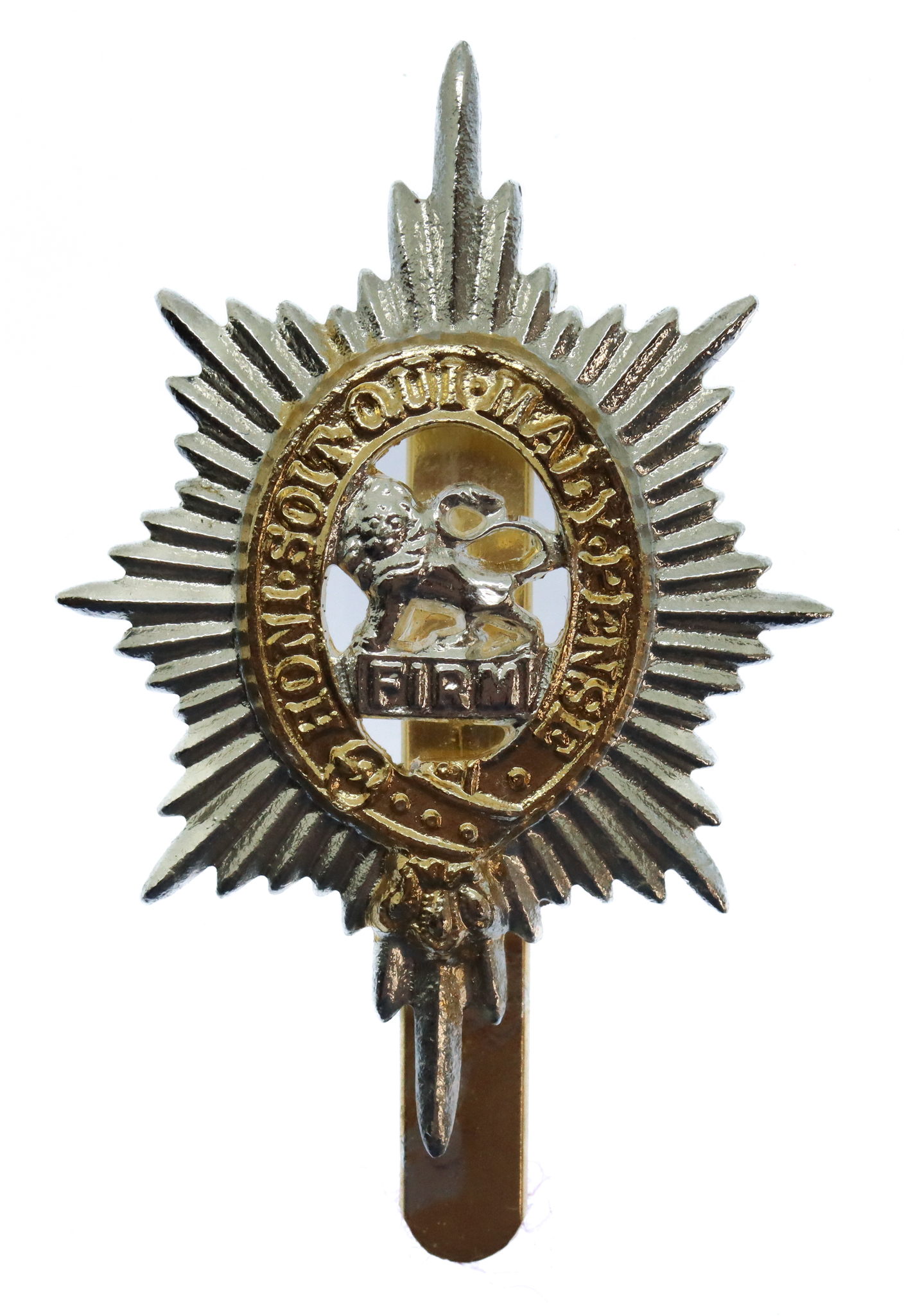Worcestershire Regiment Anodised (Staybrite) Cap Badge