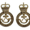 Pair of Sherwood Rangers Yeomanry Anodised (Staybrite) Collar Badges