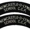 Pair of Newcastle-U-Lyme School C.C.F. Cloth Shoulder Titles