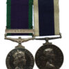 Campaign Service Medal (Clasp - Gulf) and Royal Naval Long Service & Good Conduct Medal Pair - A. Hayes, CERA, Royal Navy, HMS Mohawk