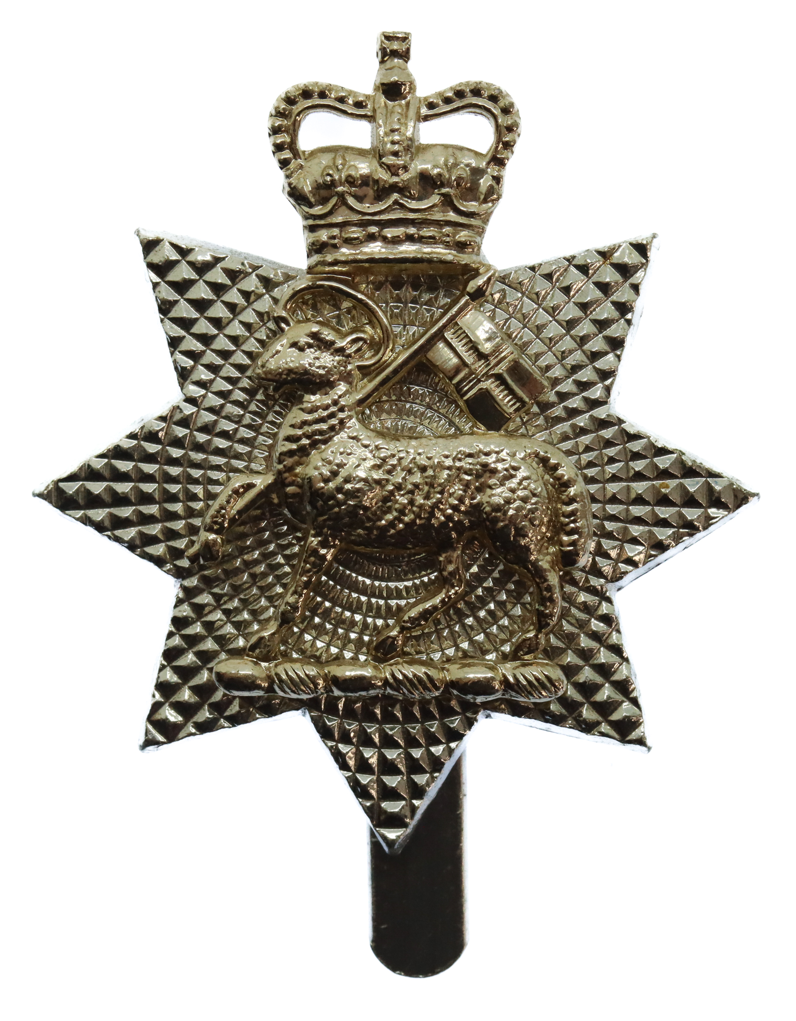 The Queen's Royal Surrey Regiment Anodised (Staybrite) Cap Badge