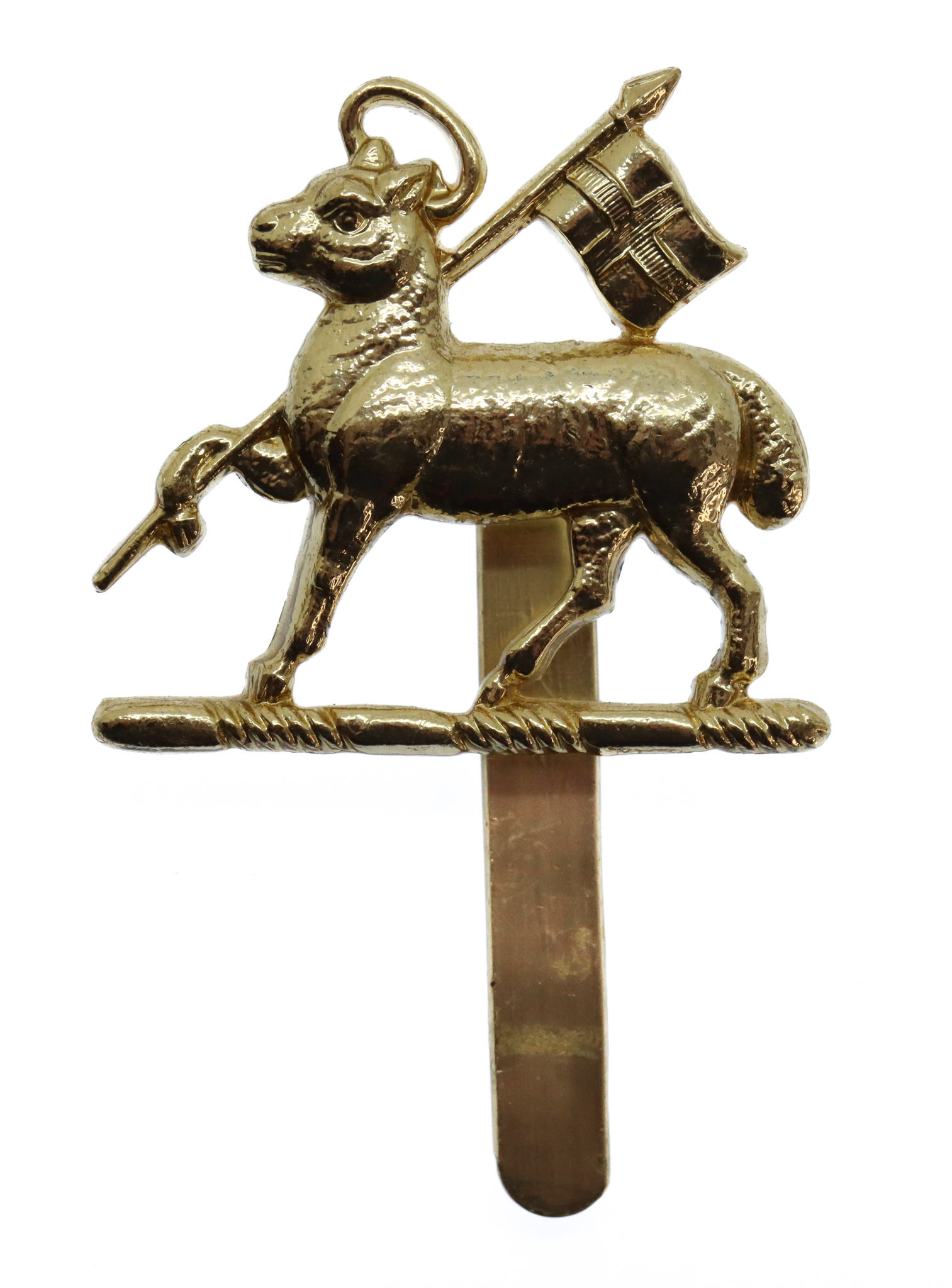 The Queen's (Royal West Surrey) Regiment Anodised (Staybrite) Beret Badge