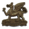 East Kent Regiment (The Buffs) WW2 Plastic Economy Cap Badge