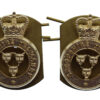 Pair of Shropshire Yeomanry Anodised (Staybrite) Collar Badges - Queen's Crown