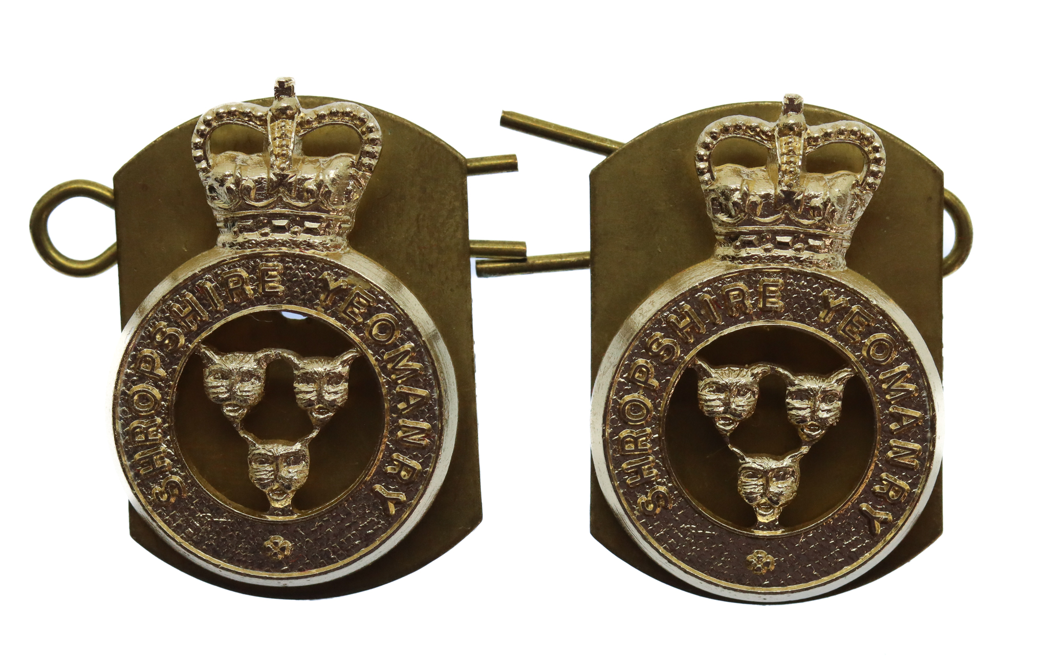 Pair of Shropshire Yeomanry Anodised (Staybrite) Collar Badges - Queen's Crown