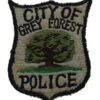 United States City of Grey Forest Police Cloth Patch Badge