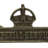WW1 Territorial Force Imperial Service Badge