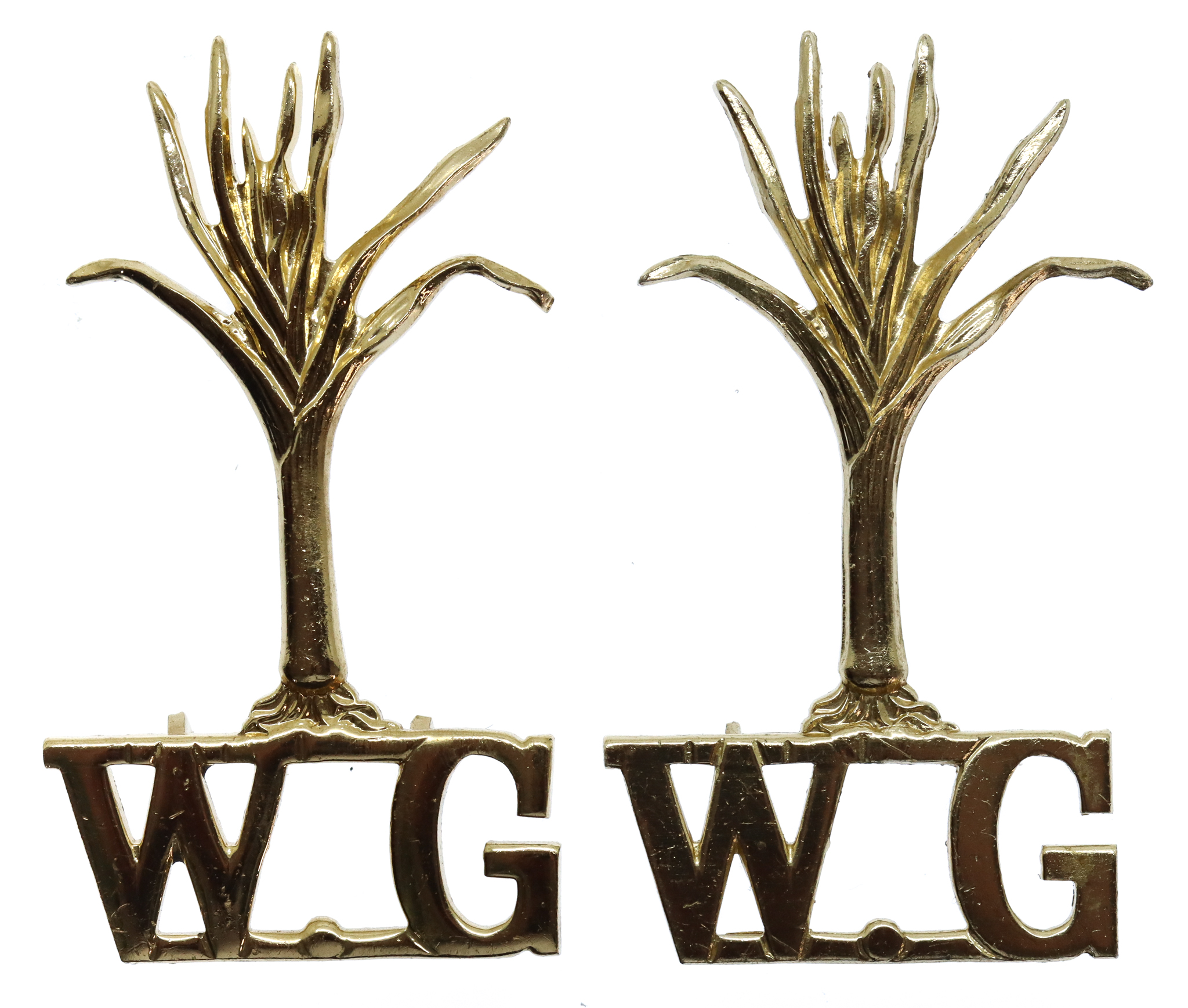 Pair of Welsh Guards Anodised (Staybrite) Shoulder Titles