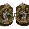 Pair of Royal Army Dental Corps (R.A.D.C.) Anodised (Staybrite) Collar Badges