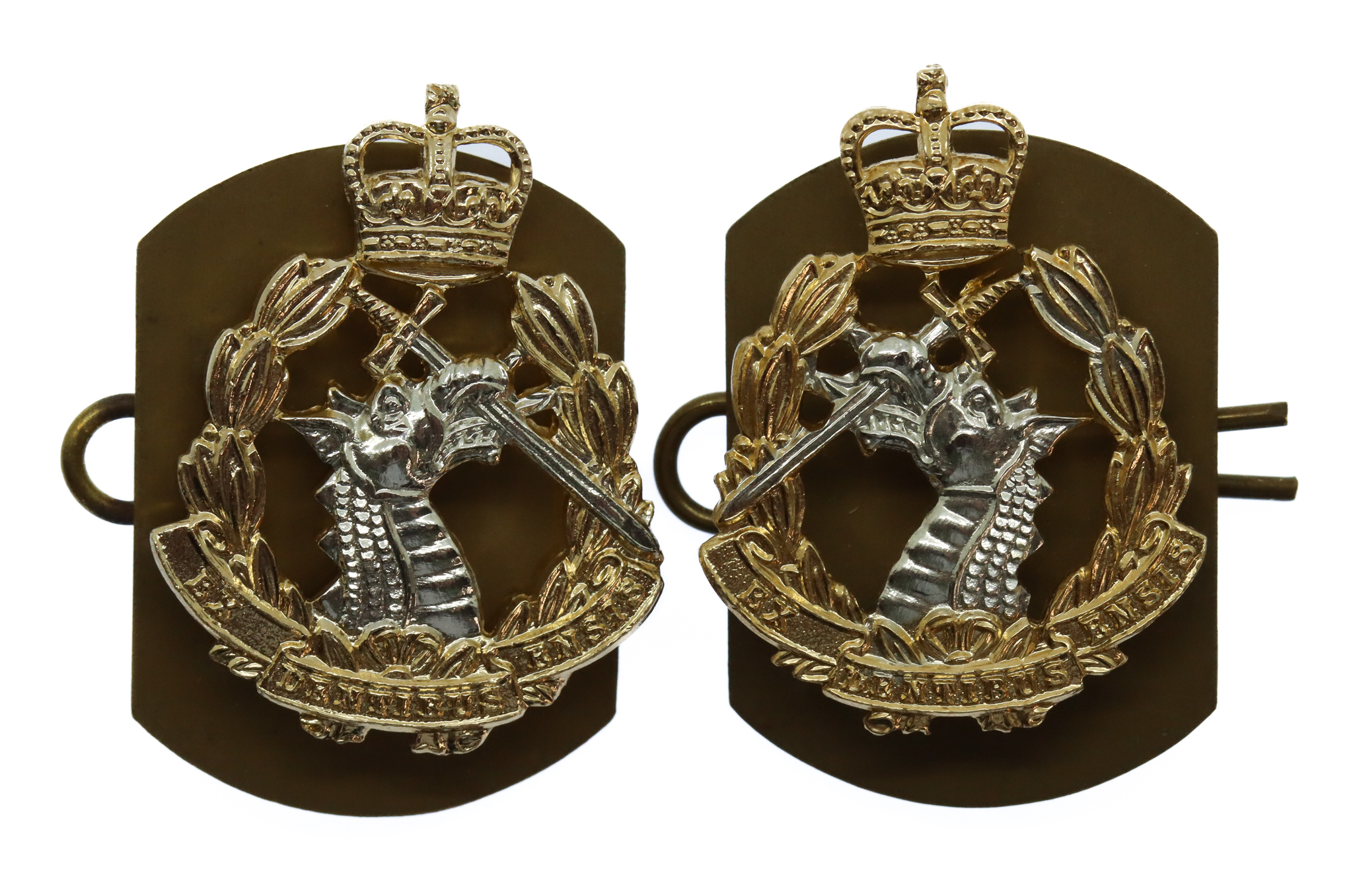 Pair of Royal Army Dental Corps (R.A.D.C.) Anodised (Staybrite) Collar Badges