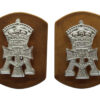 Pair of Green Howards Anodised (Staybrite) Collar Badges