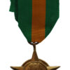 India Poorvi Star 1971 - Sepoy Pouap Singh, D.S.C.
