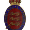 Dorset Special Constabulary Enamelled Lapel Badge - King's Crown