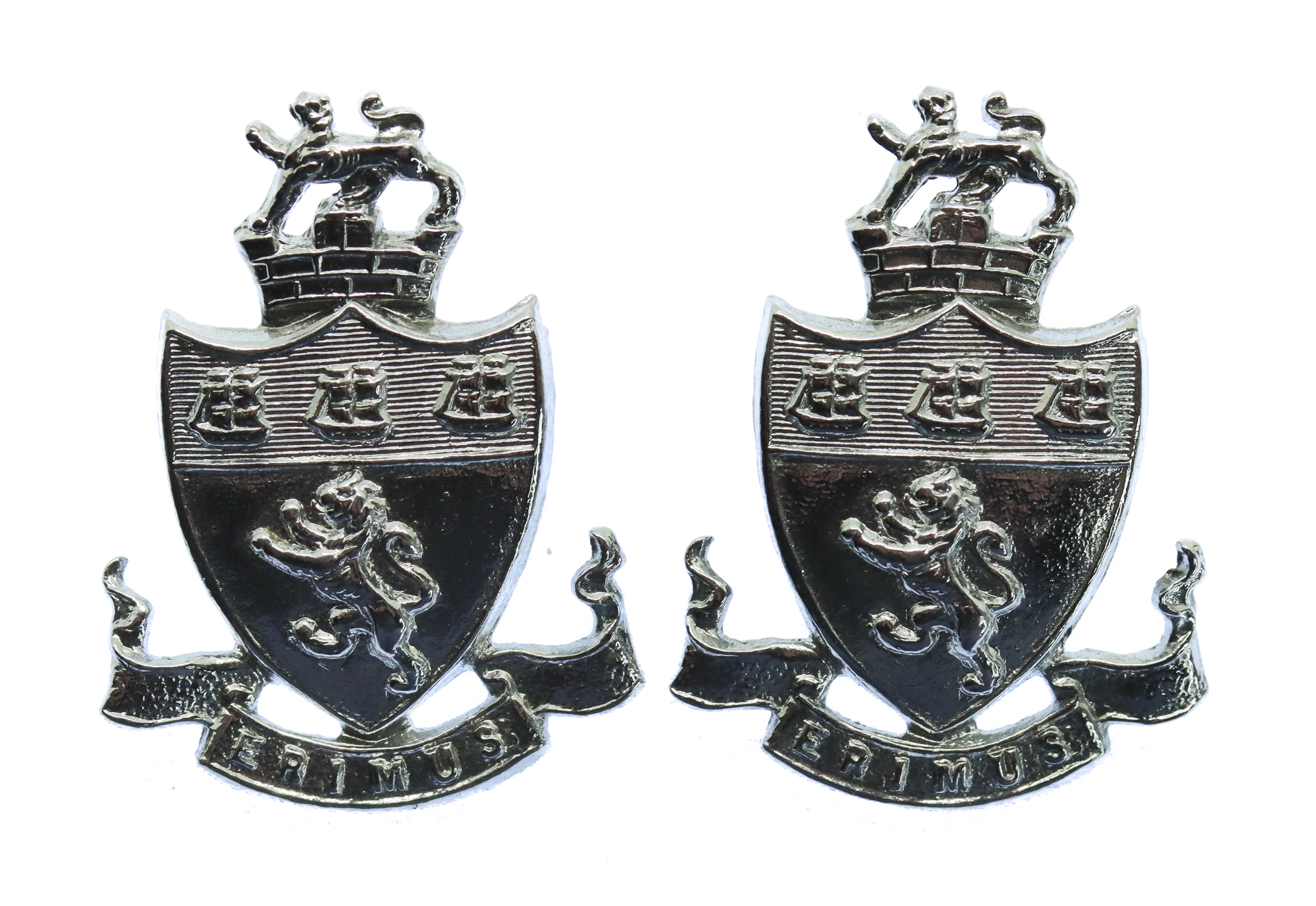 Pair of Middlesbrough Borough Police Collar Badges