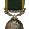 George VI Territorial Efficiency Medal - Dvr. A.S. Mason, Royal Army Service Corps