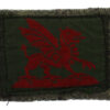 Carmarthenshire A.C.F. Formation Sign