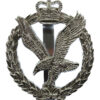 Army Air Corps Anodised (Staybrite) Cap Badge