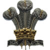 Royal Regiment of Wales Anodised (Staybrite) Cap Badge