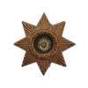East Yorkshire Regiment Officer's Collar Badge