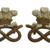 Pair of North Staffordshire Regiment Collar Badges