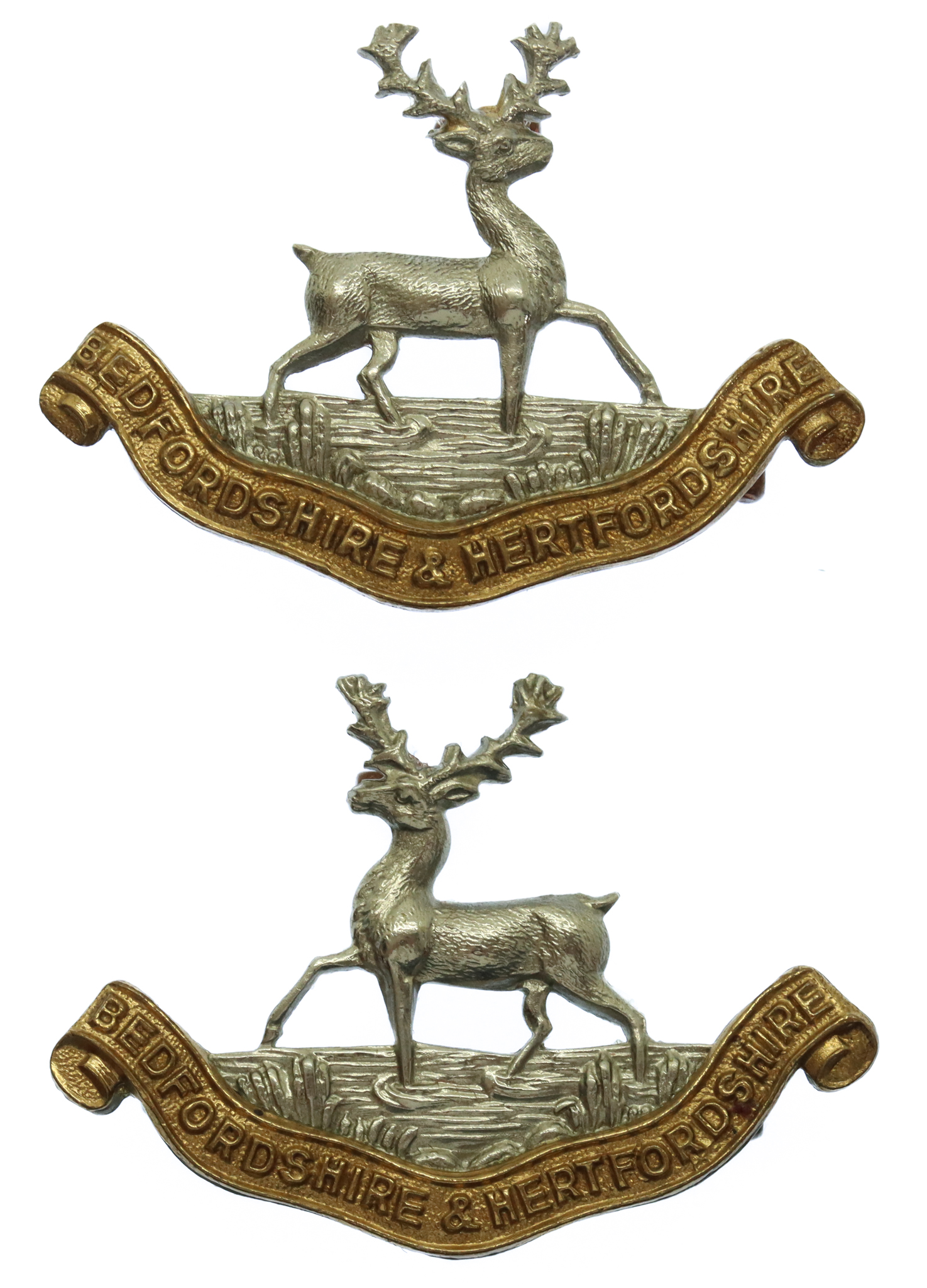 Pair of Bedfordshire & Hertfordshire Regiment Collar Badges