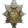 Worcestershire & Sherwood Foresters Anodised (Staybrite) Cap Badge