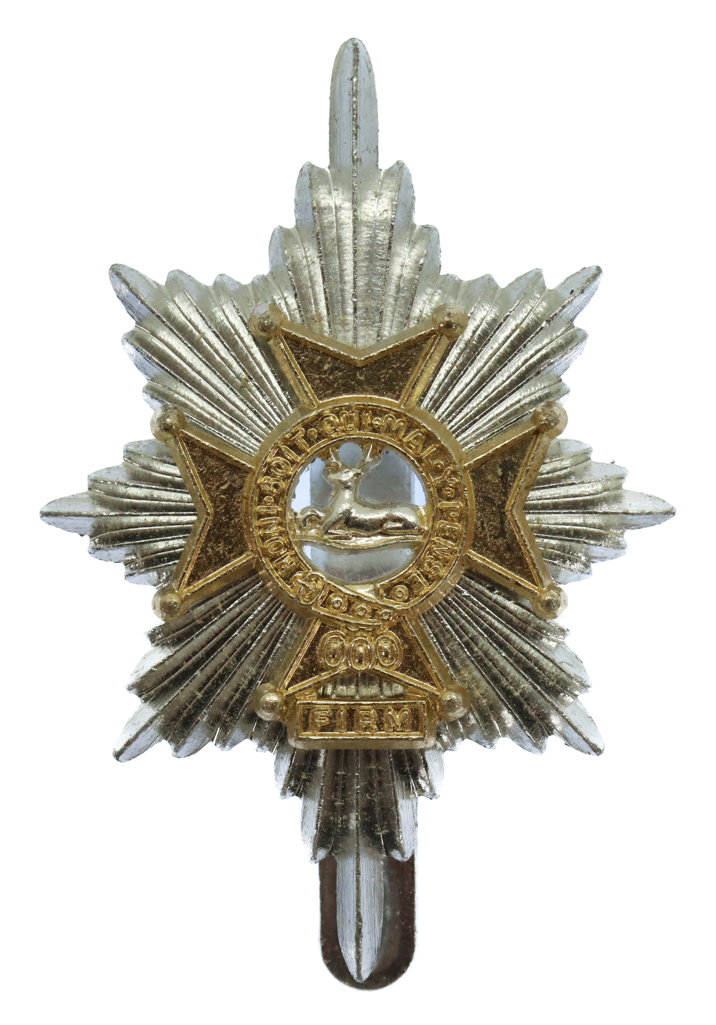 Worcestershire & Sherwood Foresters Anodised (Staybrite) Cap Badge