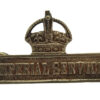 WW1 Territorial Force Imperial Service Badge