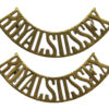 Pair of Royal Sussex Regiment (ROYAL SUSSEX) Shoulder Titles