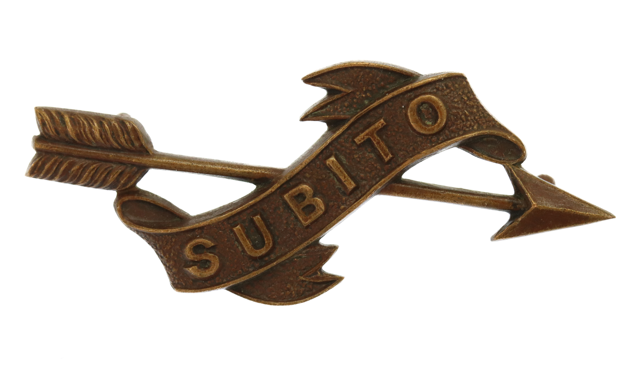 Army Motor Reserve Bronze Collar Badge